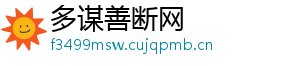 多谋善断网